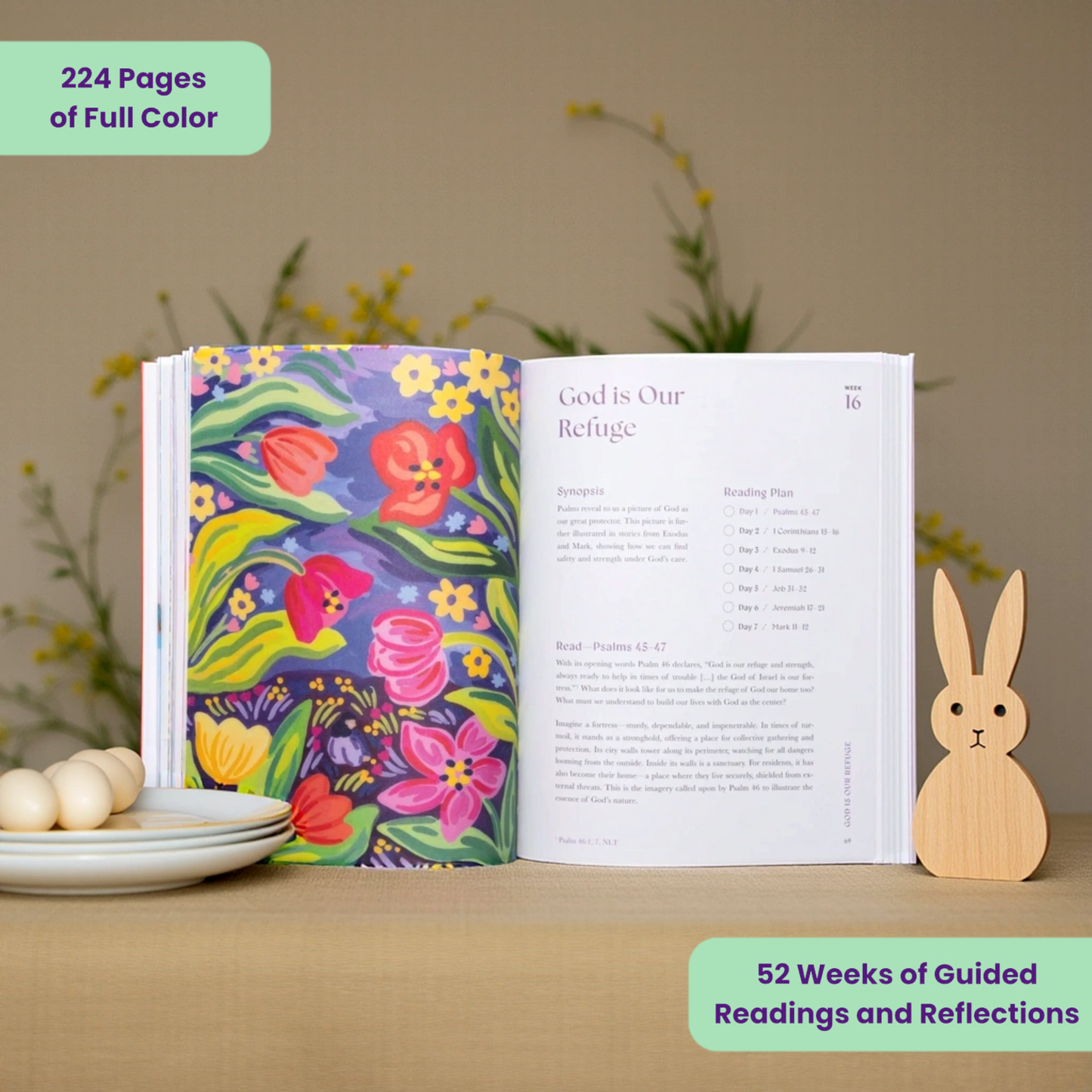 A Beautiful Year In The Bible Study