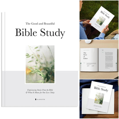 Faith & Fig "A Beautiful Year in The Bible" 52-Week Bible Study for Women