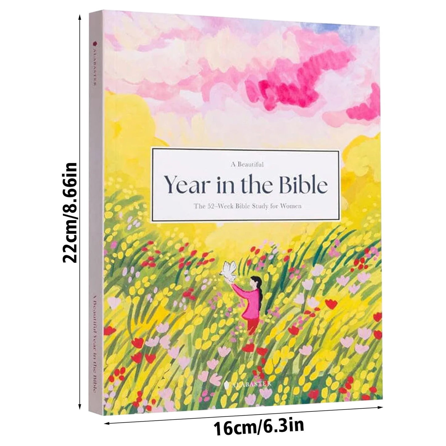 Faith & Fig "A Beautiful Year in The Bible" 52-Week Bible Study for Women